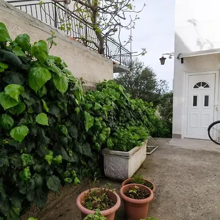 Ξενοδοχείο Nikol Trpanj